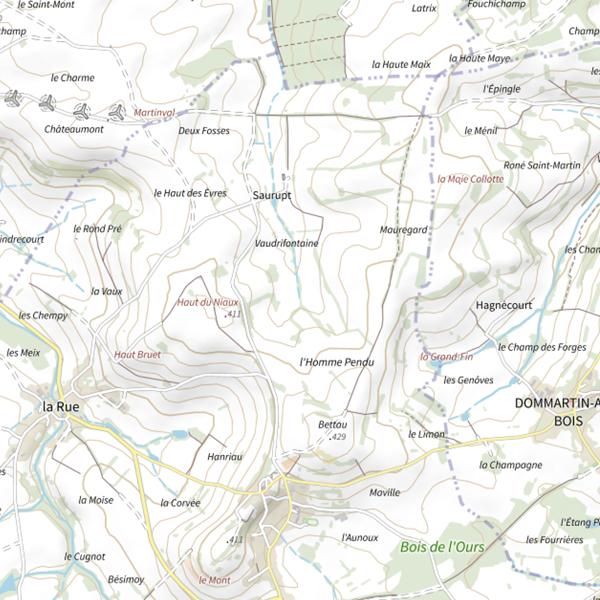 Plan cartographique de Ru de Damas-et-Bettegney