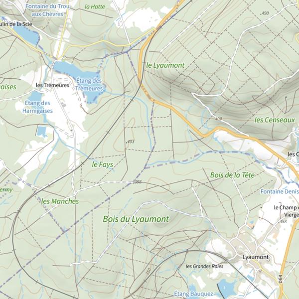 Plan cartographique de Ru de Falvinfoing