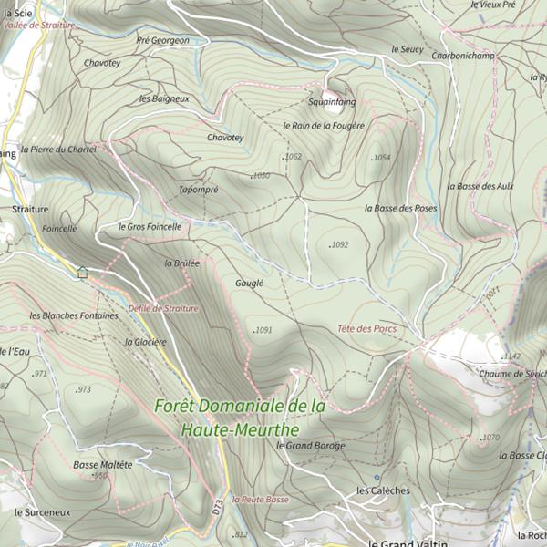 Plan cartographique de Ru de Foincelle
