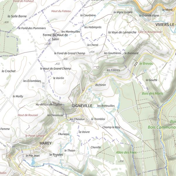 Plan cartographique de Ru de Gigneville