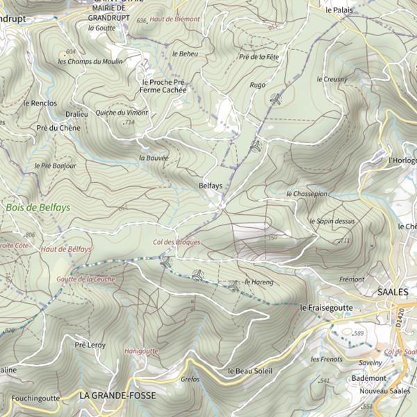 Plan cartographique de Ru de Grandrupt