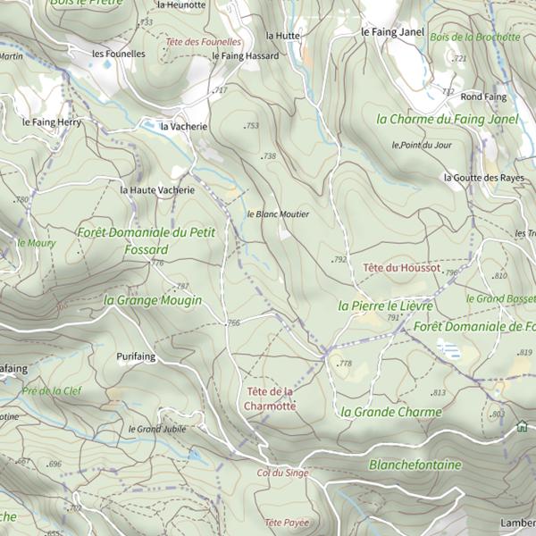 Plan cartographique de Ru de la Borne Martin