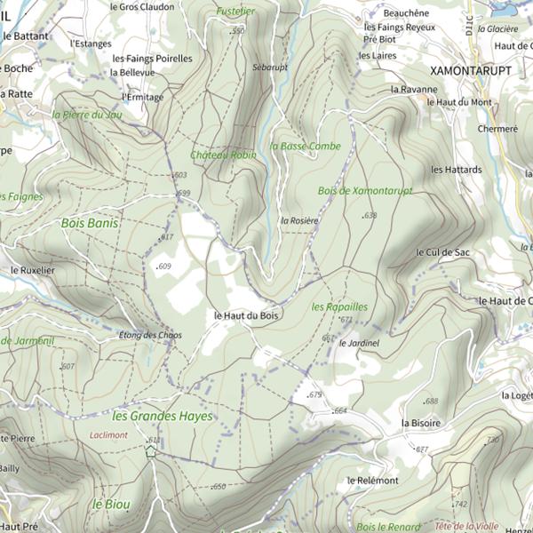 Plan cartographique de Ru de la Rosiere