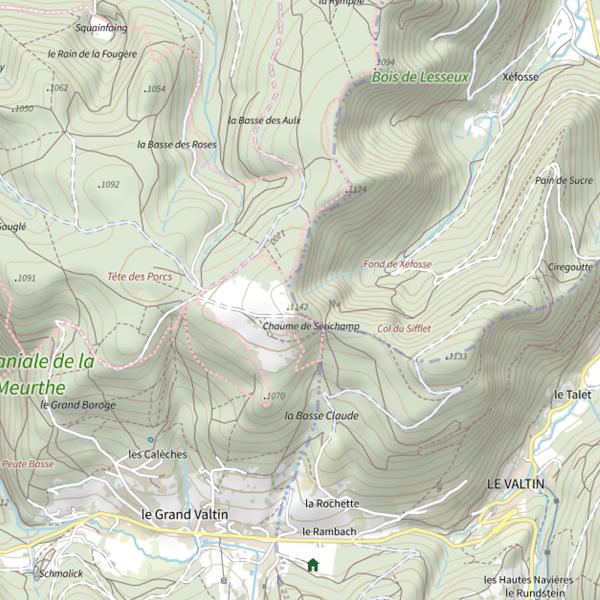 Plan cartographique de Ru de Lesseux