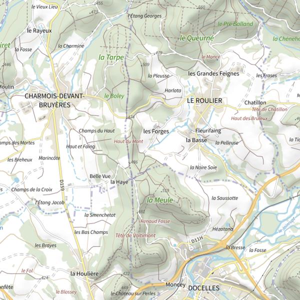 Plan cartographique de Ru de l'Étang Fleurifaing