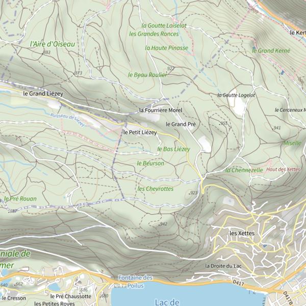 Plan cartographique de Ru de Liezey