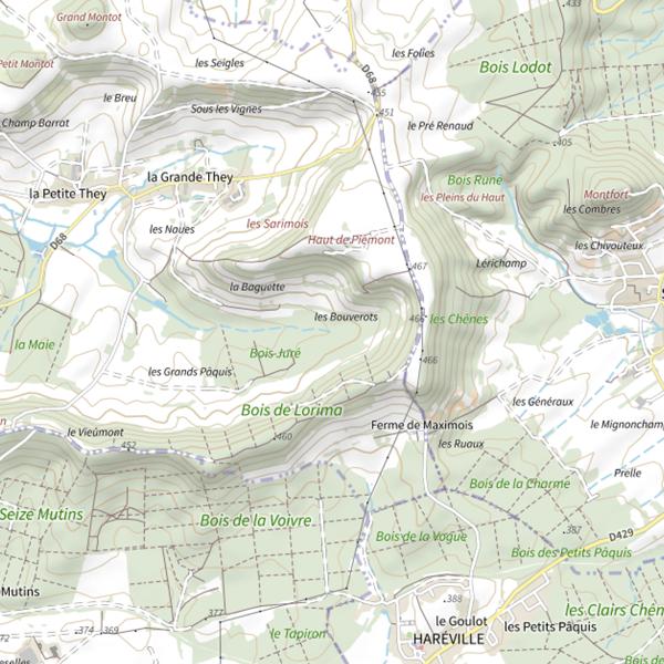 Plan cartographique de Ru de They