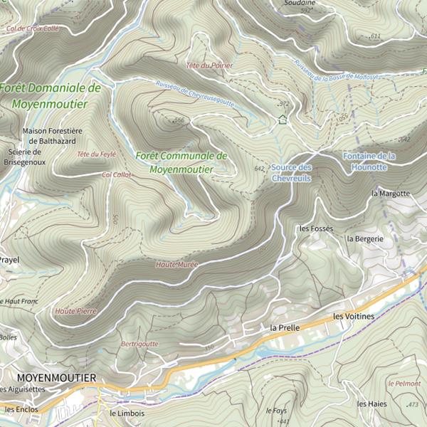 Plan cartographique de Ru des Grands Deves