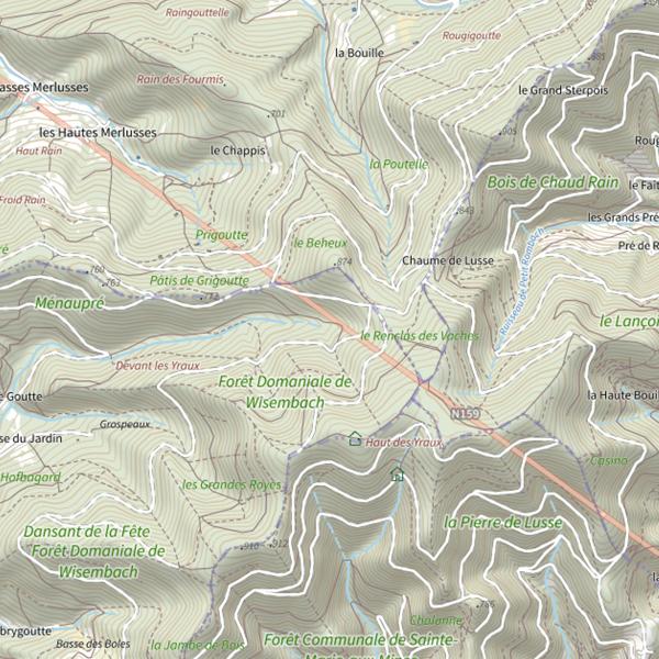 Plan cartographique de Ru le Blanc