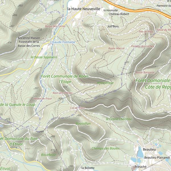 Plan cartographique de Ru le Grand Faing de la Neuveville
