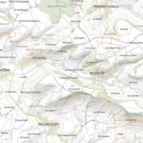 Plan cartographique de Ru le Vicherey