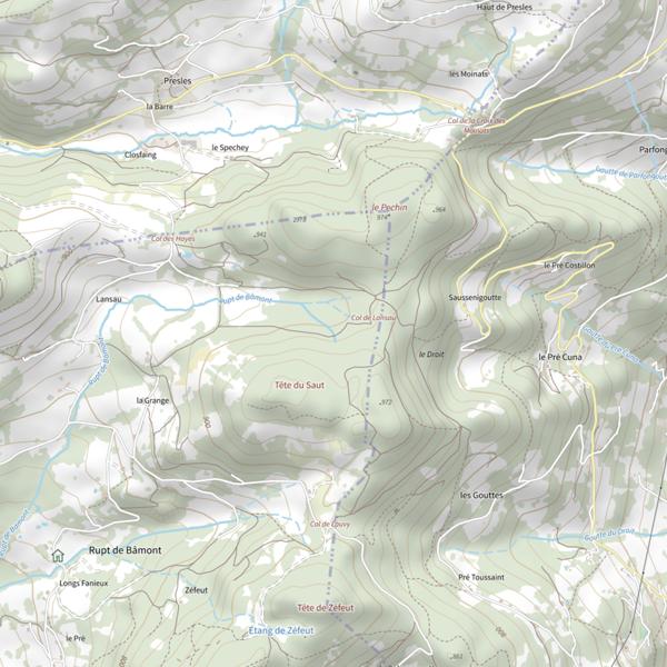Plan cartographique de Rupt de Bamont