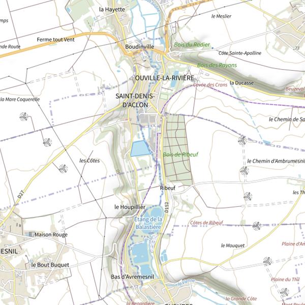 Plan cartographique de Saint Denis d'Aclon