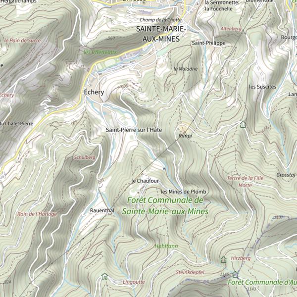 Plan cartographique de Saint Pierre sur l'Hâte