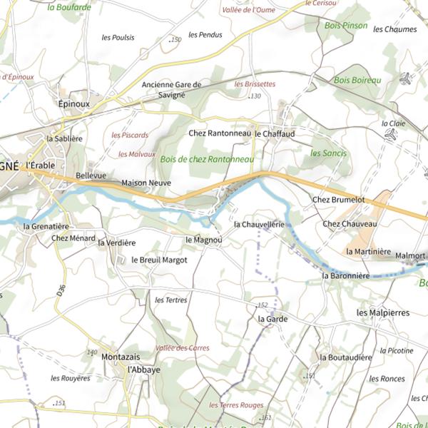 Plan cartographique de Savigne
