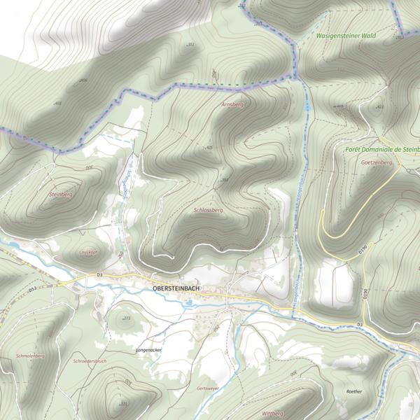Plan cartographique de Schlossberg (Obersteinbach)