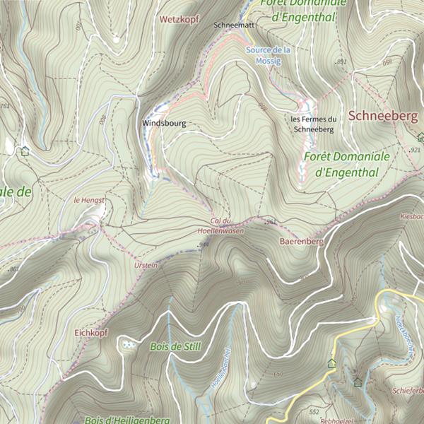 Plan cartographique de Secteur de pêche de Wangenbourg-Engenthal