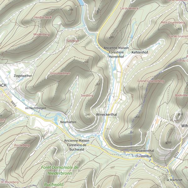 Plan cartographique de Seelberg