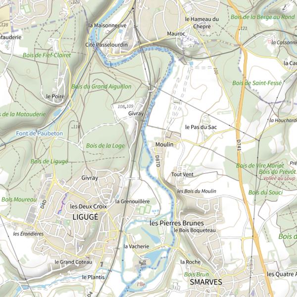 Plan cartographique de Smarves (Moulin)