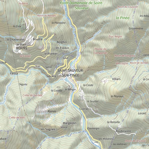 Plan cartographique de St Sauveur-sur-Tinée