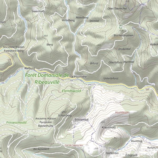 Plan cartographique de Strengbach