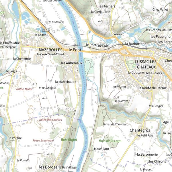 Plan cartographique de Vienne (Lussac les Châteaux)