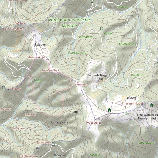 Plan cartographique de Waldrunz