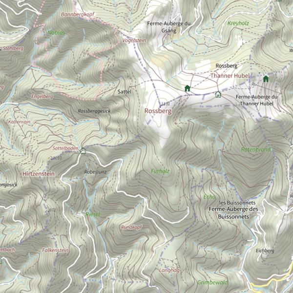 Plan cartographique de Willerbach