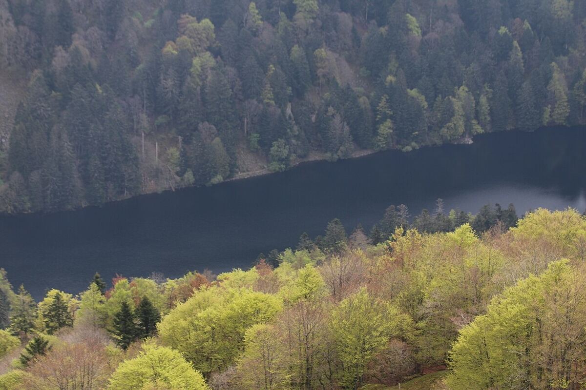 Photo de Altenweiher