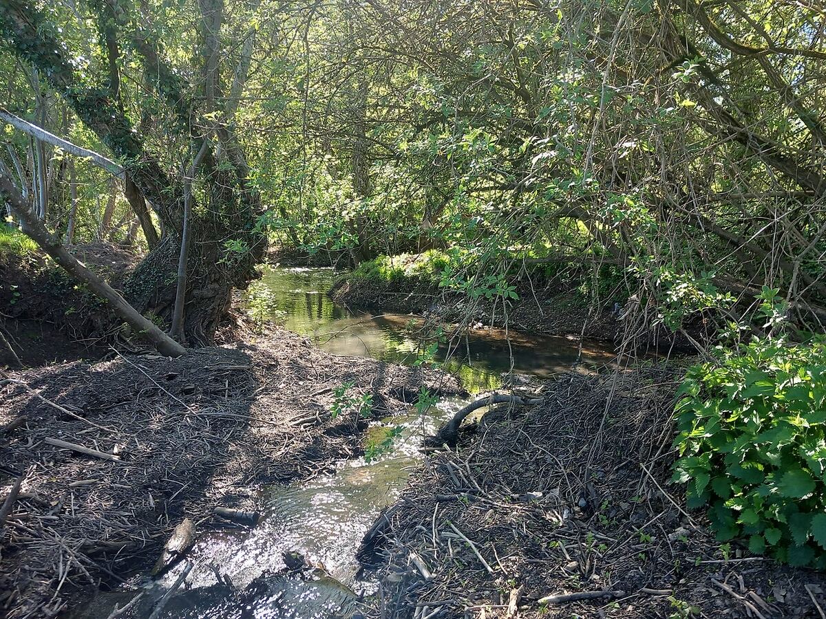 Environs de Cale du canal d'Annesse sur la rivière Isle, photographiés à 321 m