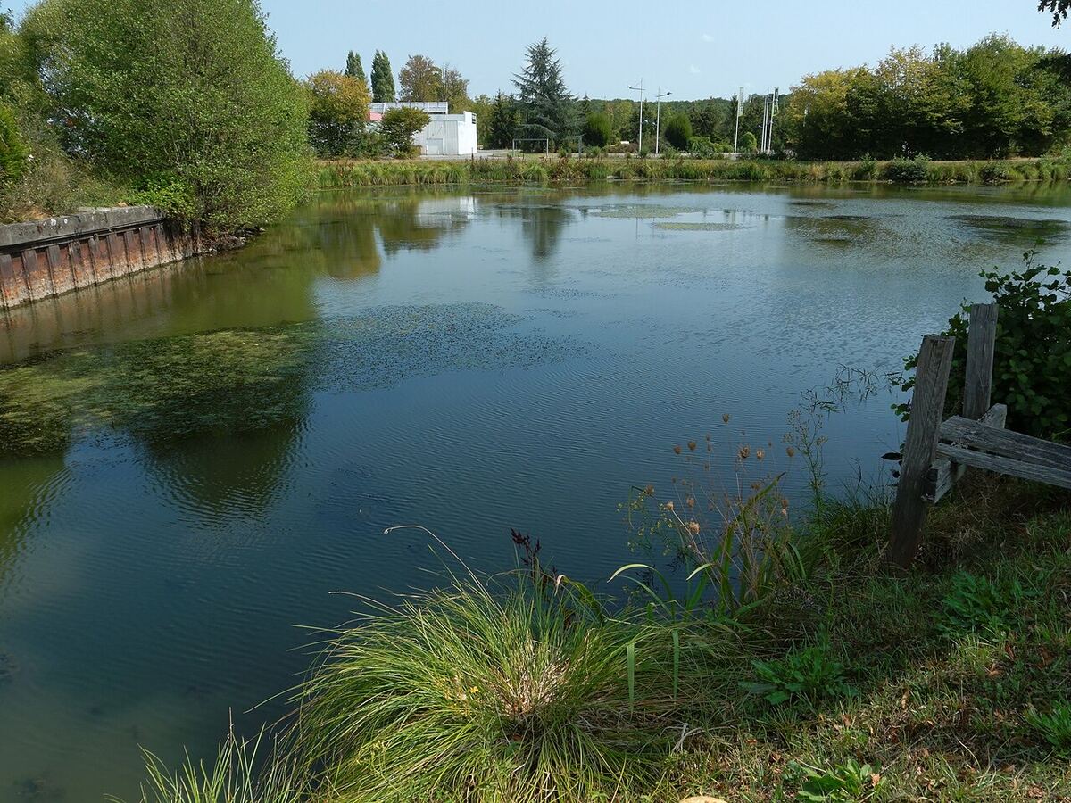 Étang Bellerive