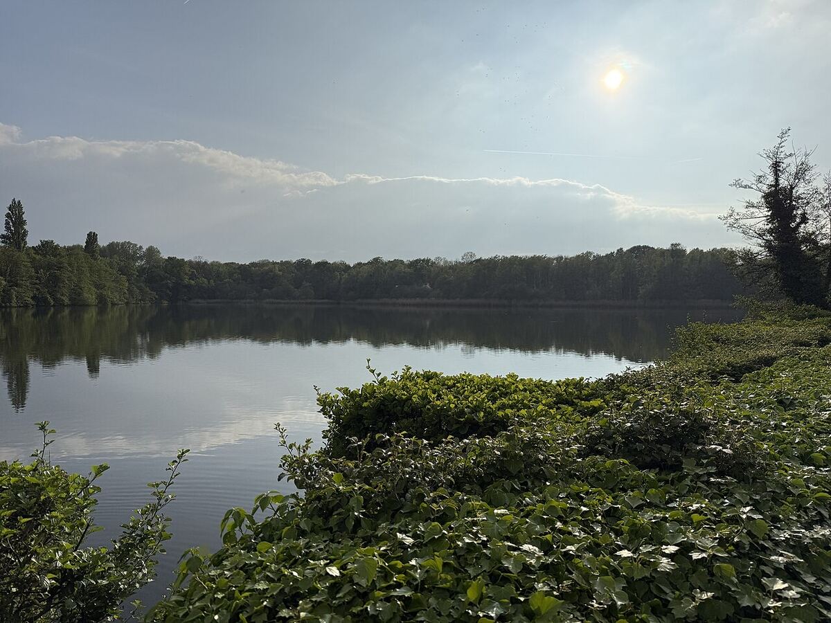 Environs de Étang de Croissy, photographiés à 175 m