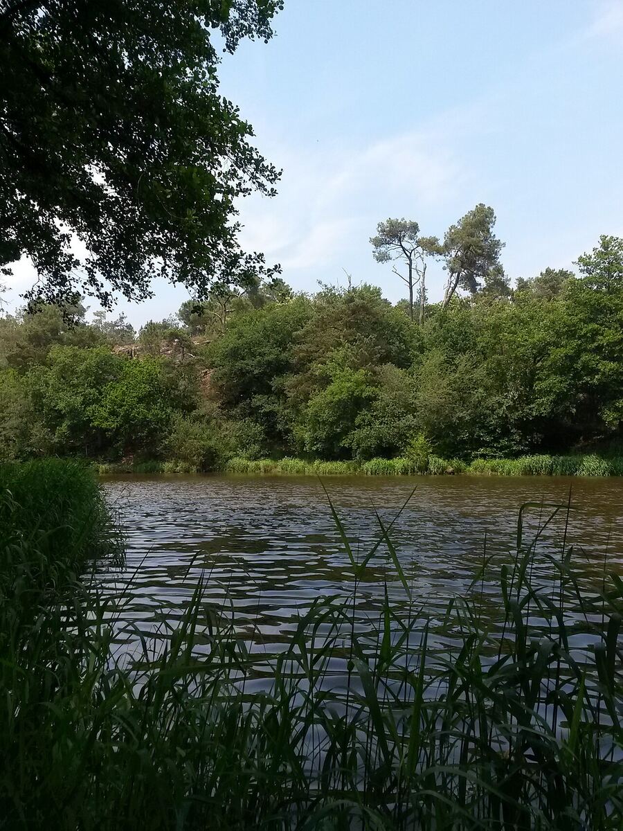 Environs de Étang de l'Etunel, photographiés à 136 m