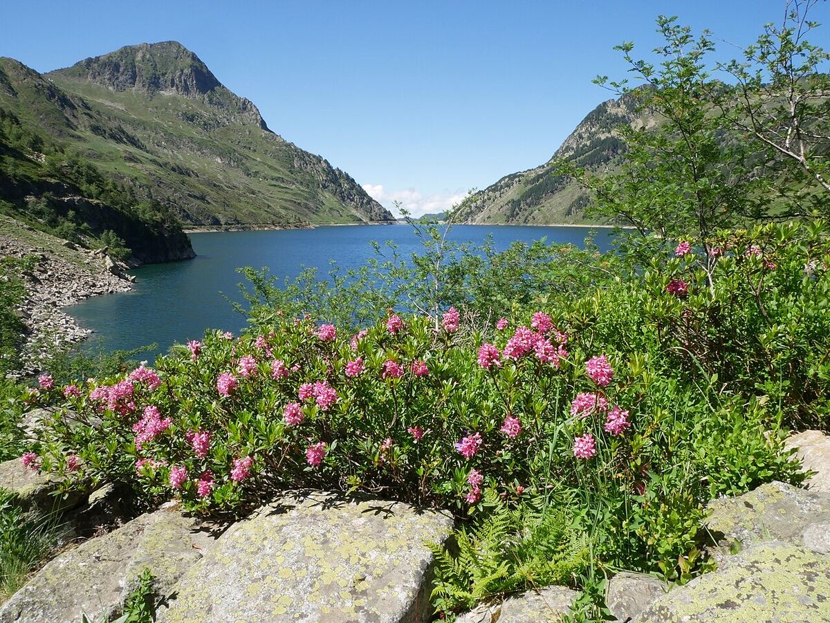 Photo de Étang de Naguilles