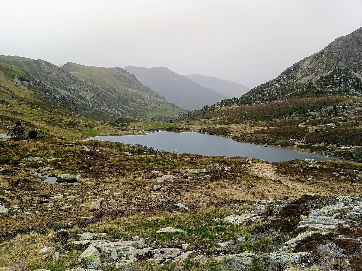 Étang de Pédourrés