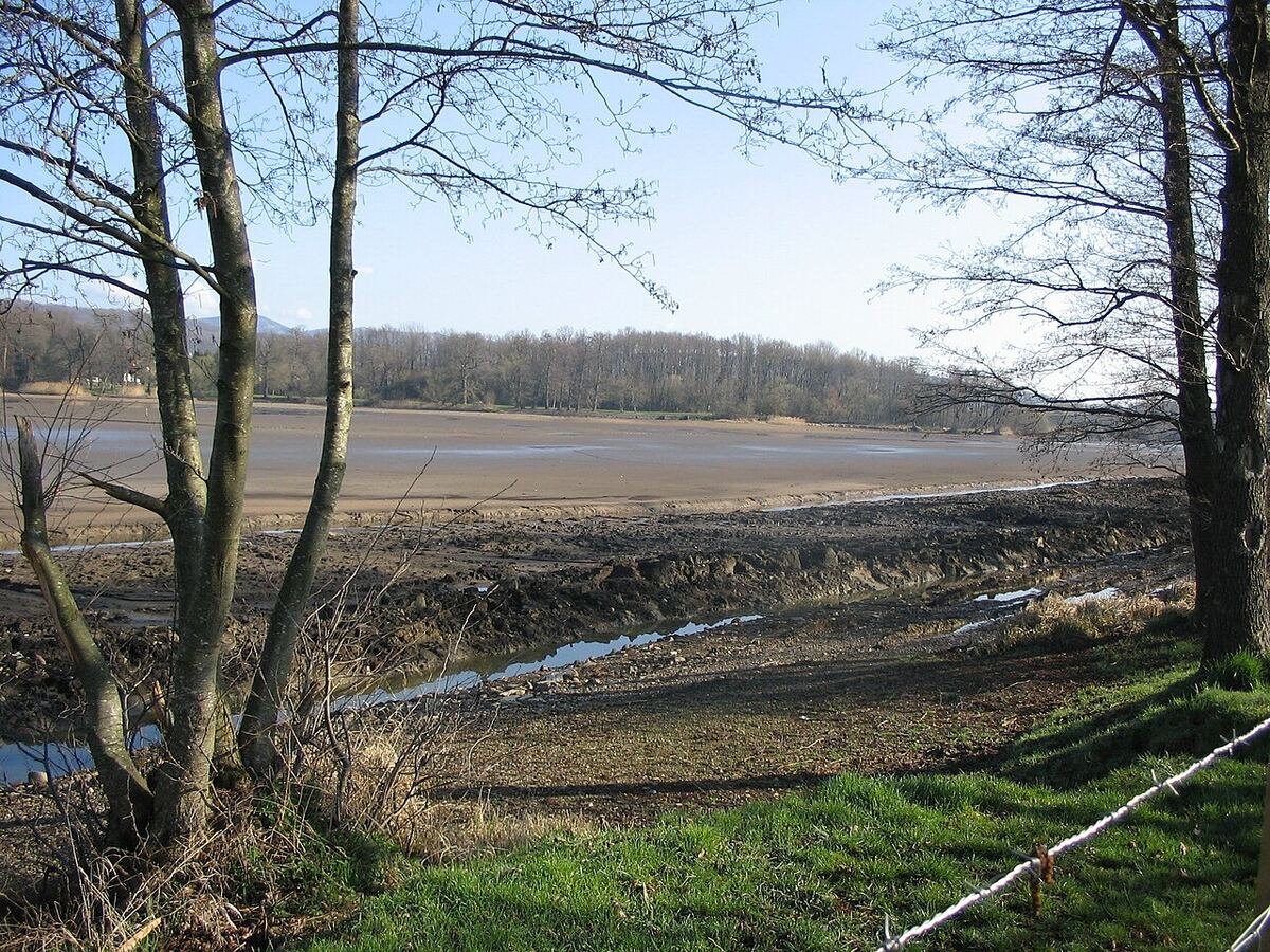 Environs de Étang des Forges (Offemont), photographiés à 199 m