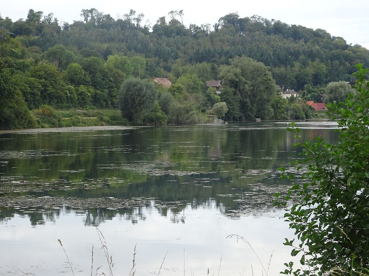 Étang d'Incheville