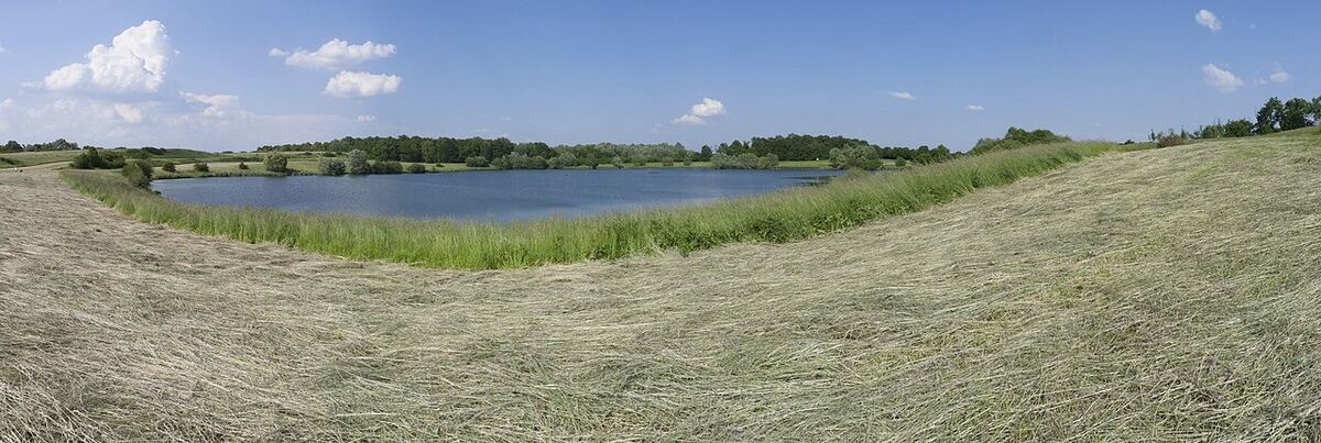 Étang du Coq (8,13ha)