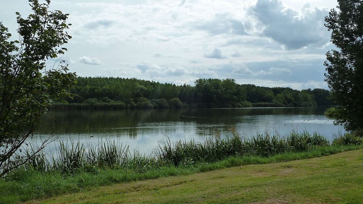 Étang du Milieu (Lamarche-sur-Saône)