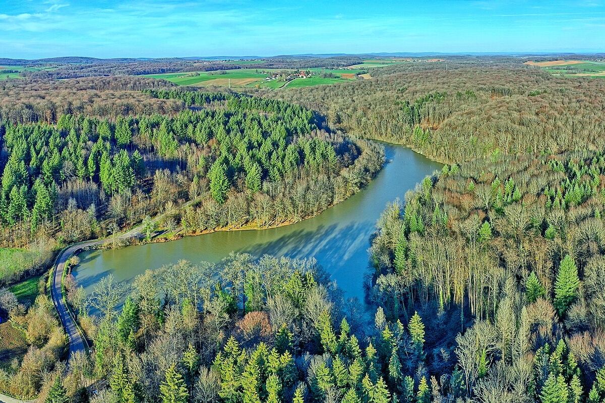 Étang du Patouillet