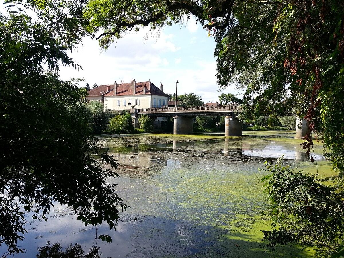 La Vigilante - Pontailler-sur-Saône