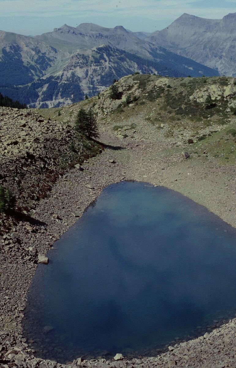 Photo de Lac Pétrus