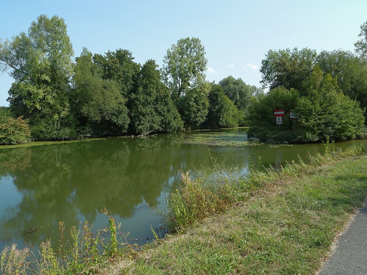 L'Allan