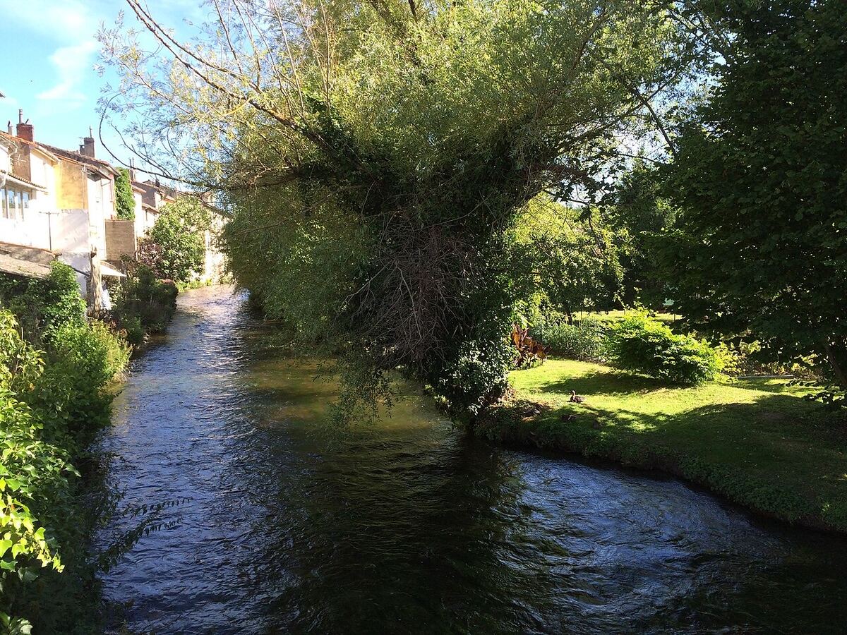 L'Ariège au canal (branche ouest)