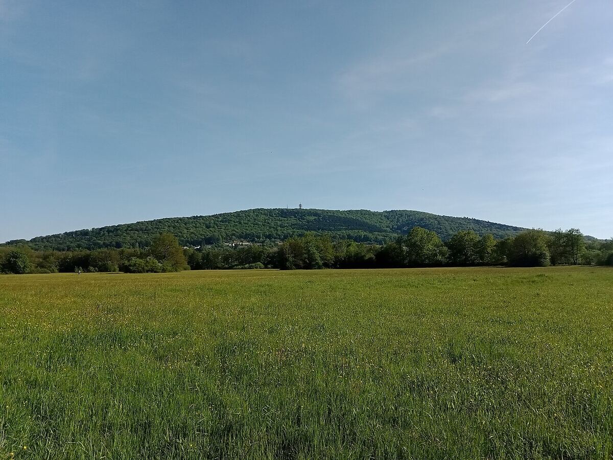 Le Salbert