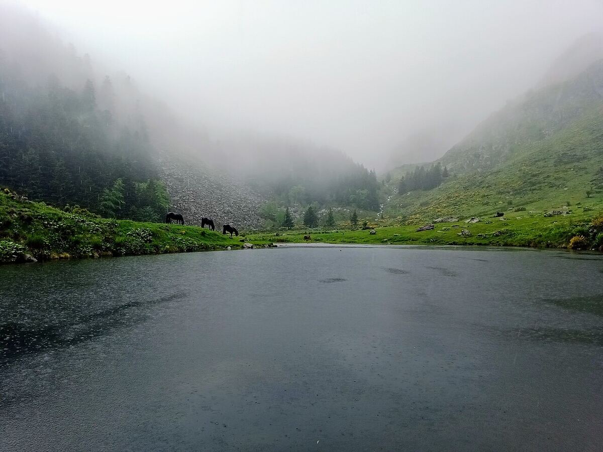 L'Estagnol (Mérens-les-Vals)