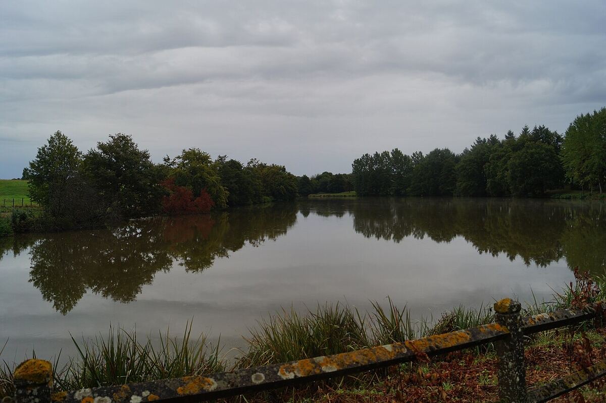 L'Étang de la Haute Rivière, le Petit Lay, Mouchamps
