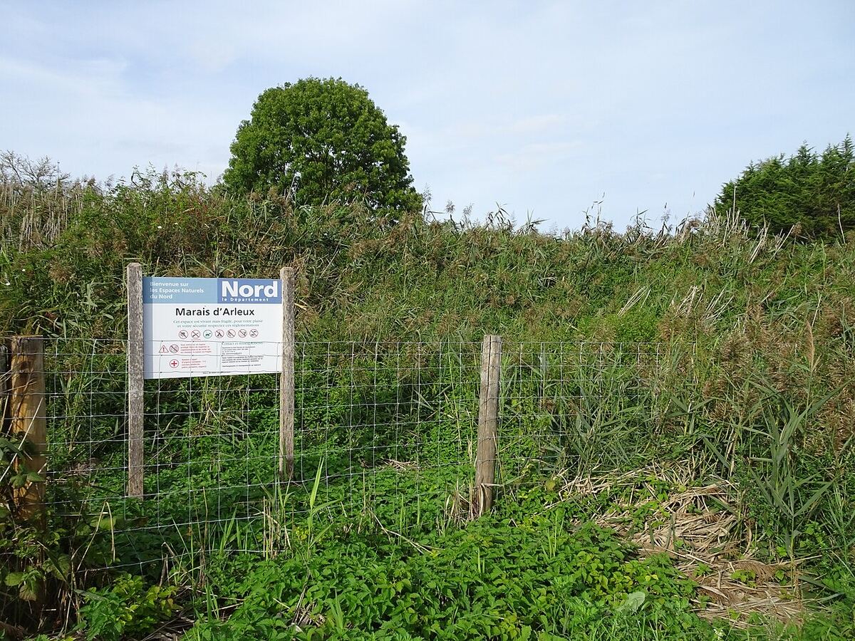 Plan d'Eau d'Hamel
