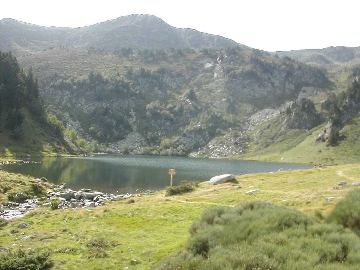 Rabassoles bas