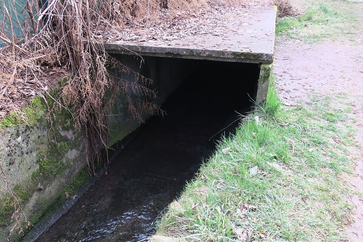 Environs de Secteur de pêche de Remiremont, photographiés à 1 m